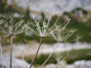 p1110381