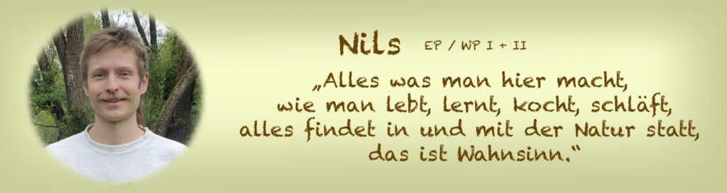 nils